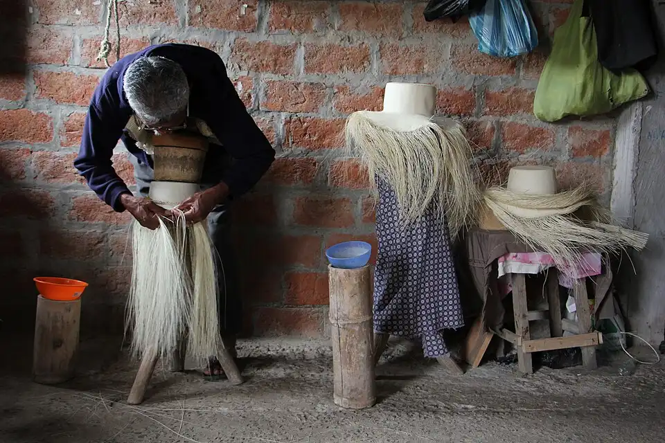 History of Panama Hats and Where They Really Come From 3 Artisan weaving a Panama hat from toquilla palm fibers in coastal Ecuador