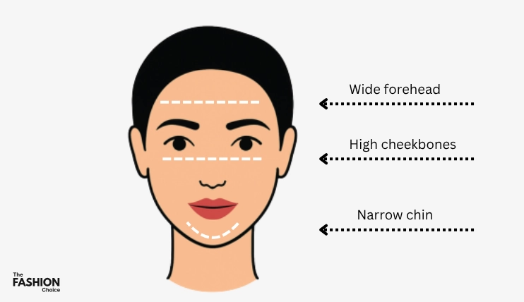 heart-shaped-face-diagram