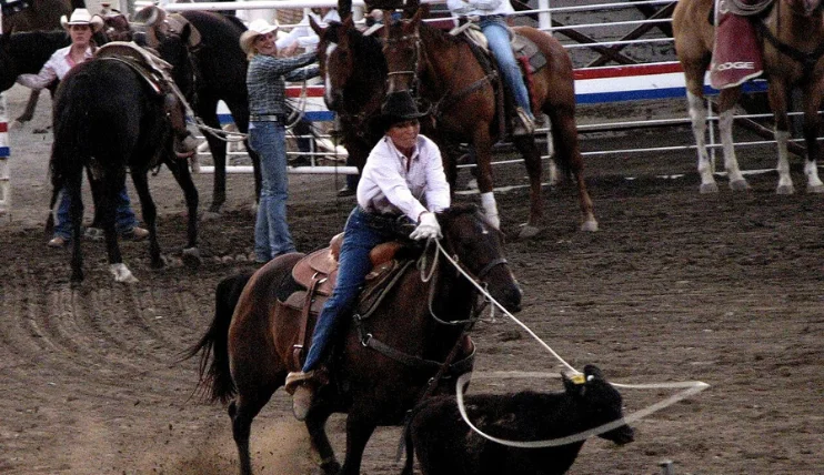 A cowgirl wearing a cowboy hat while roping a calf during a modern rodeo event.