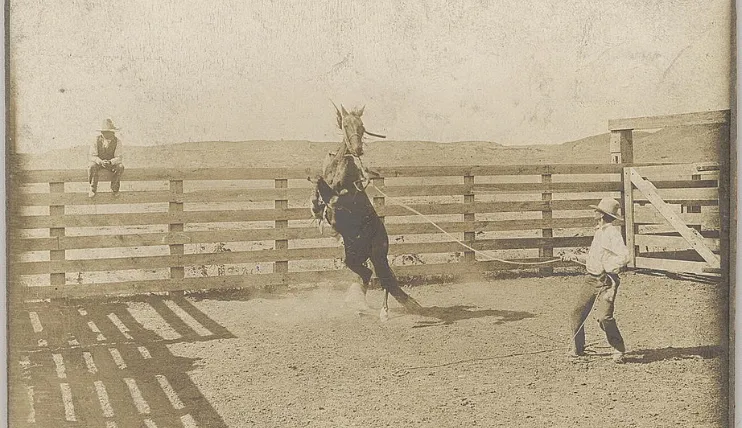 Historical 1907 photograph by Erwin E. Smith showing a cowboy breaking a bronc in a corral at the LS Ranch in Texas.
